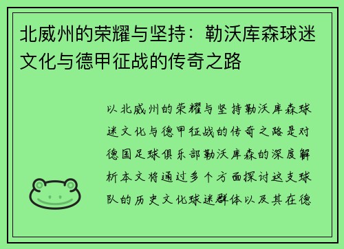 北威州的荣耀与坚持：勒沃库森球迷文化与德甲征战的传奇之路