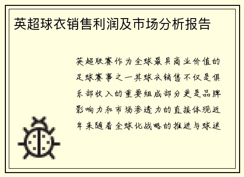 英超球衣销售利润及市场分析报告